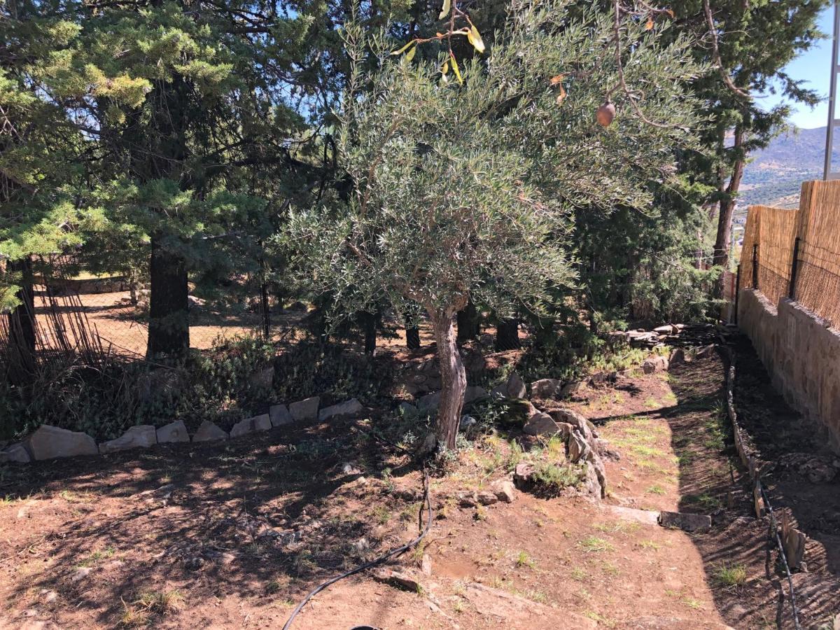Casa Rural Los Olivos De Robledo De Chavela La Estacion ภายนอก รูปภาพ